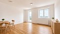 Pronájem bytu 2+kk 53 m², Hartigova, Praha-Žižkov
