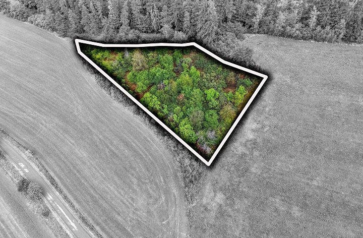 Prodej pozemku zahrady pozemek 5035 m², Všestary