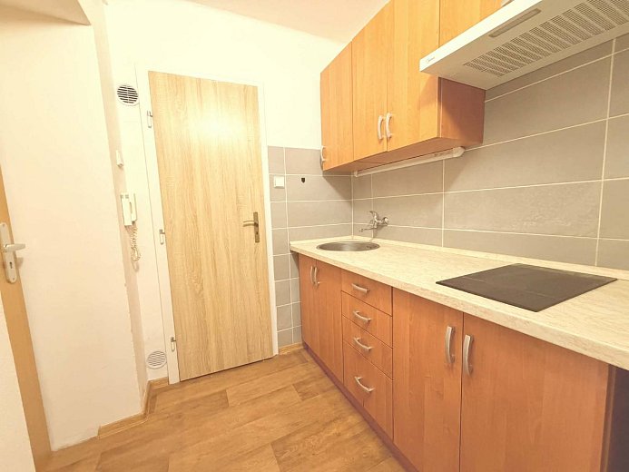 Pronájem bytu 1+kk 23 m², Na Popluží, Ústí nad Labem-Klíše