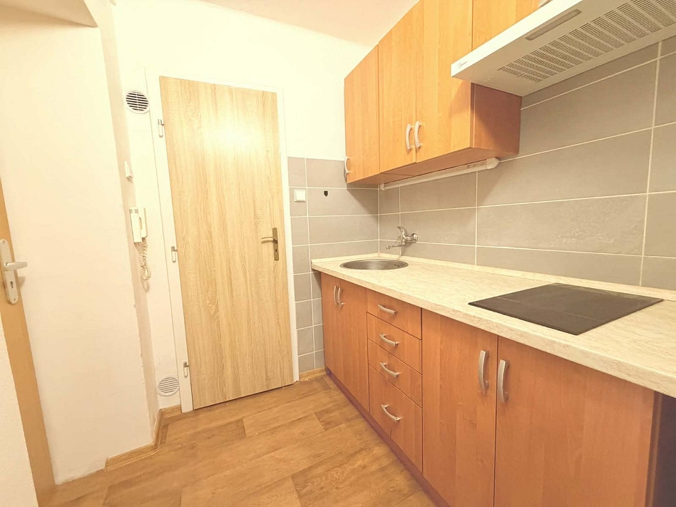 Pronájem bytu 1+kk 23 m², Na Popluží, Ústí nad Labem-Klíše