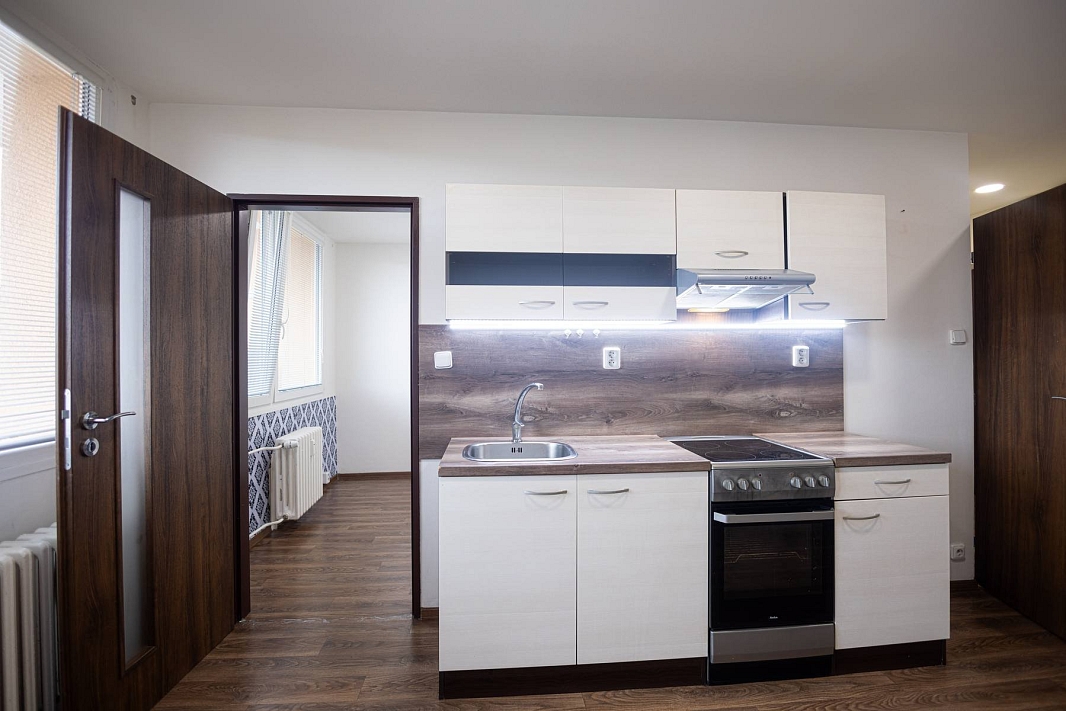 Pronájem bytu 1+1 33 m², K. J. Erbena, Most