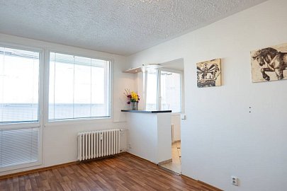 Pronájem bytu 1+1 33 m², K. J. Erbena, Most