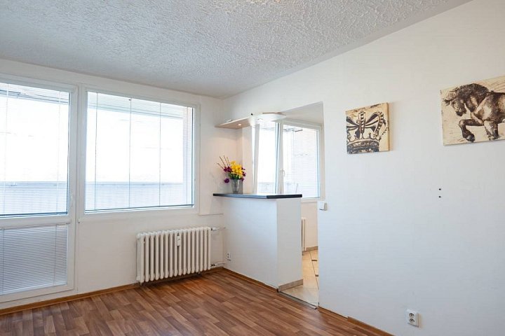 Pronájem bytu 1+1 33 m², K. J. Erbena, Most