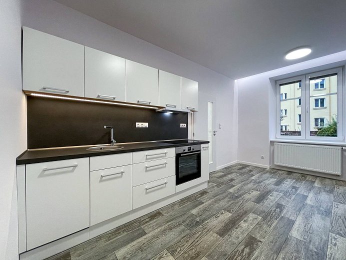 Pronájem bytu 1+1 45 m², Čechova, Plzeň-Jižní Předměstí