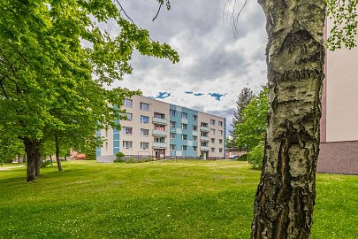 Prodej bytu 3+1 70 m², Obránců míru, Přelouč