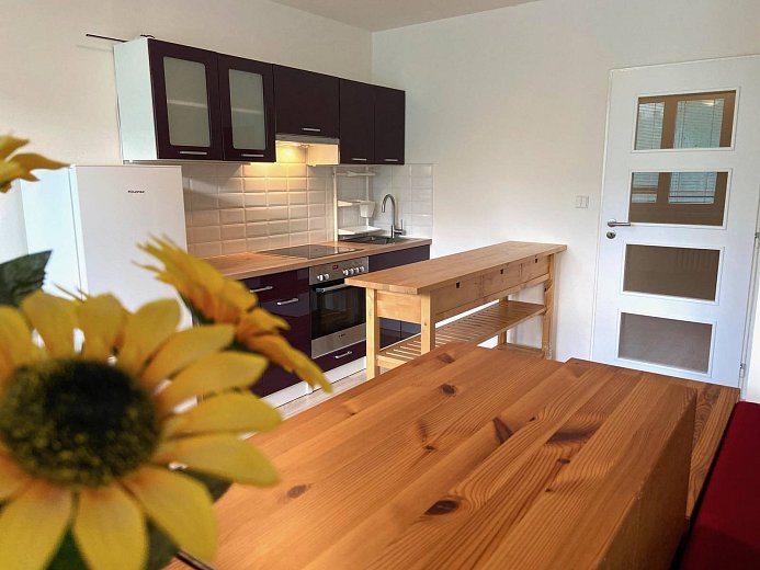 Pronájem bytu 1+kk 40 m², Třinecká, Praha-Letňany