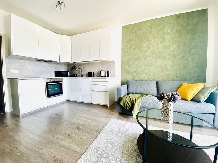 Pronájem bytu 1+kk 29 m², Na Spravedlnosti, Pardubice-Zelené Předměstí