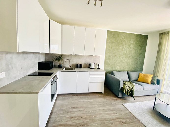 Pronájem bytu 1+kk 29 m², Na Spravedlnosti, Pardubice-Zelené Předměstí