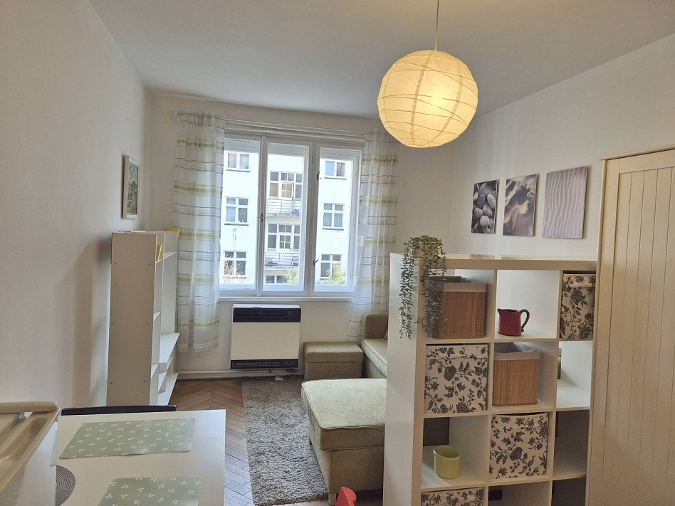 Pronájem bytu 1+kk 27 m², Žerotínova, Praha-Žižkov